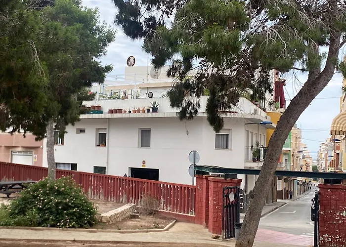 Petirrojo