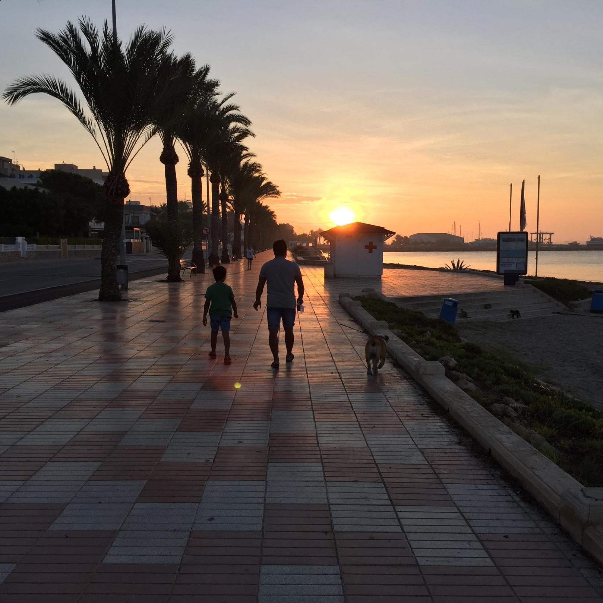 Petirrojo * Santa Pola